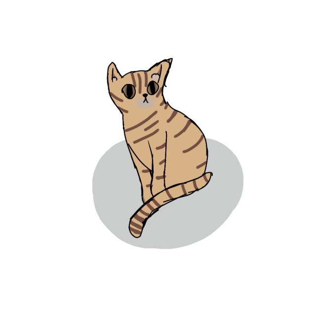 LalaTheQueen's cat