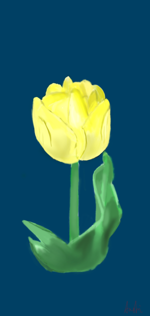 チューリップ🌷