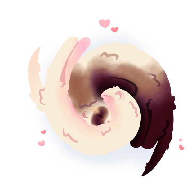 Ferret Cuddle ☯️