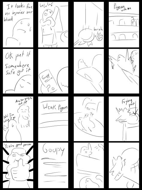 鳩を一時的に保護した瞬間