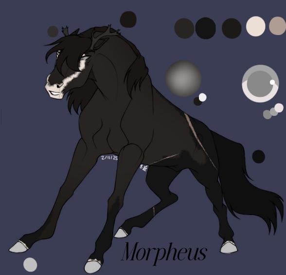 ~ Morpheus ~