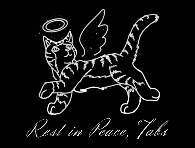 My Cat's in Starclan now...😢🪦🐈