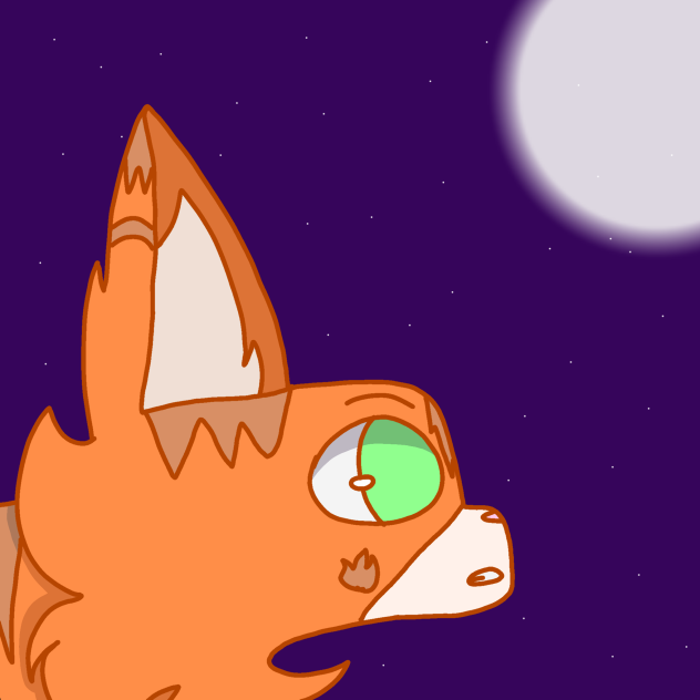 Cat with night sky