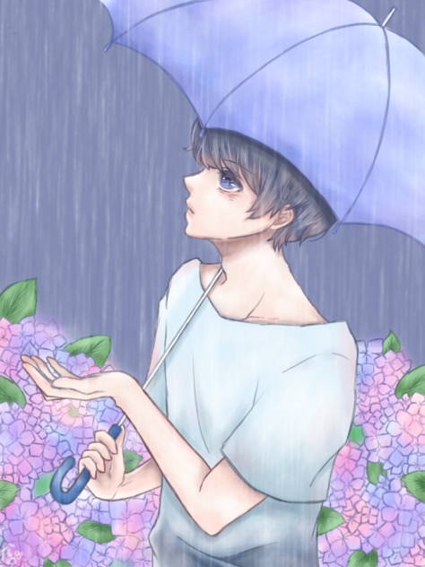 雨と紫陽花