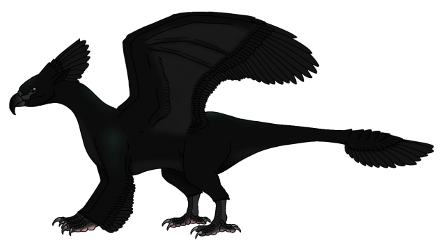 Black Parroffin render