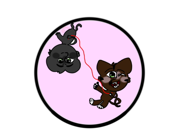Rat and Cat