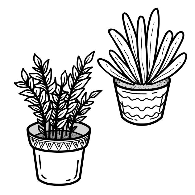 plant 2
