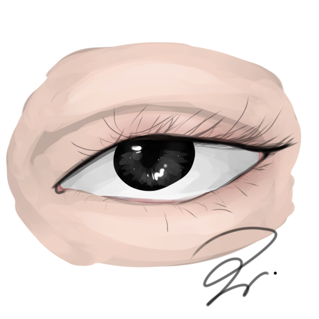 502 - ibisPaint