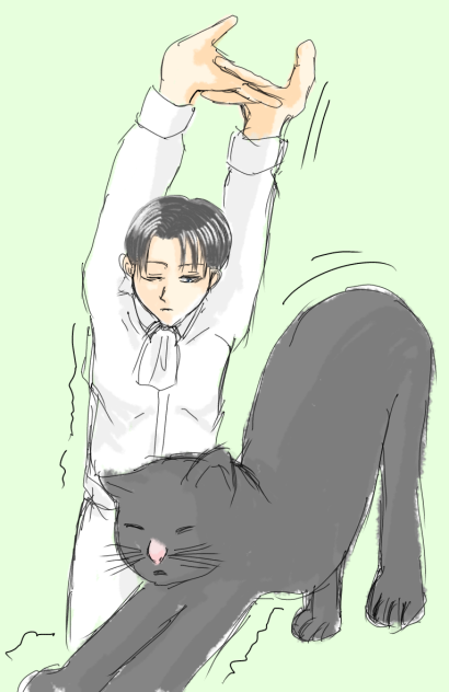 お題【猫】