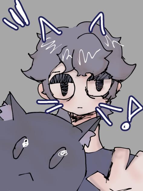meet the new cat