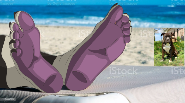 Albano in the beach