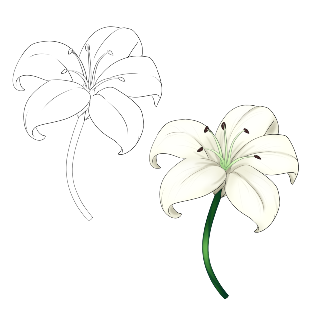 Lily [free-to-use]