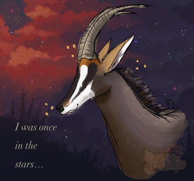 I was once in the stars…