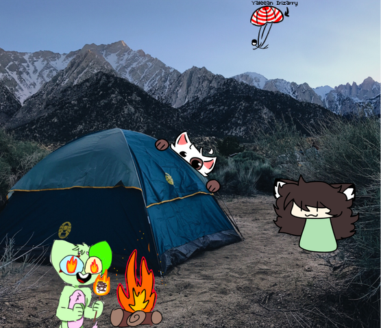 Camping collab