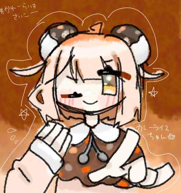 カレーライスちゃそ☆