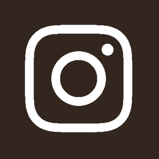 instagram icon