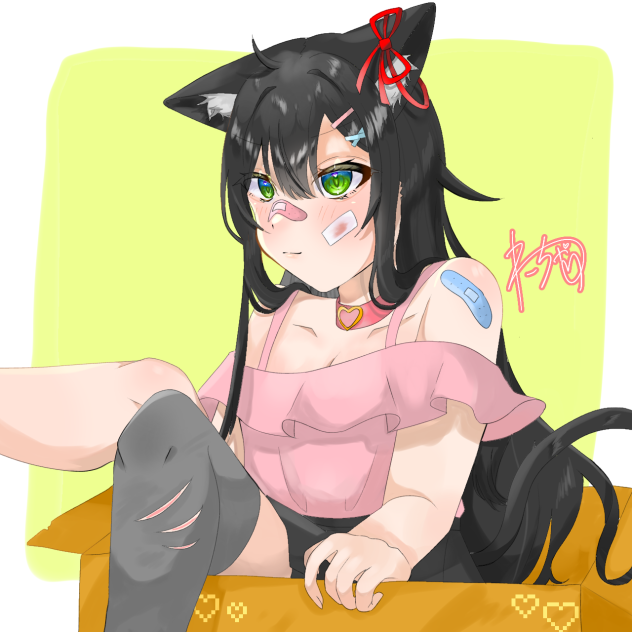 黒猫？