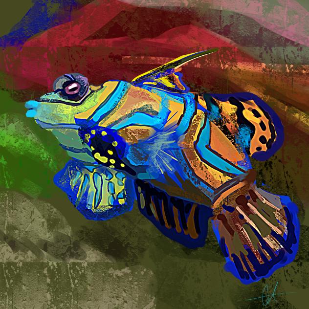 Fish Study