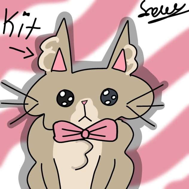 Fluffy Kitty