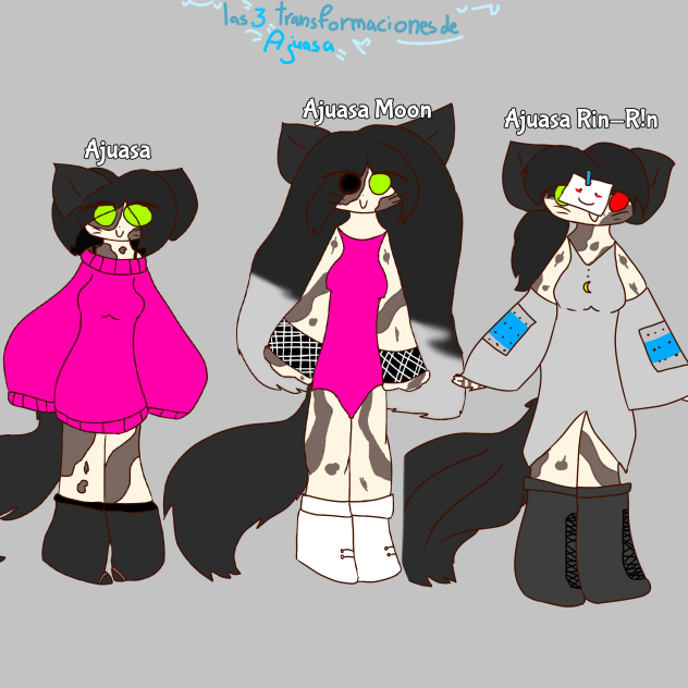 las 3 transformaciones de Ajuasa
