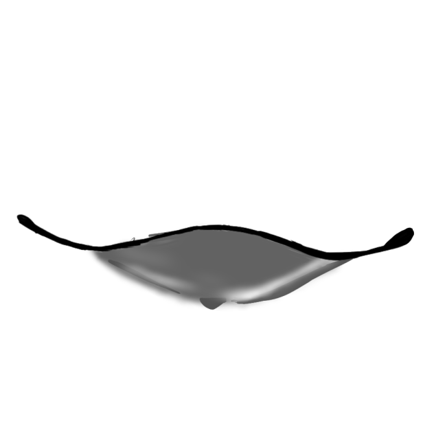 lips for the rizzlers
