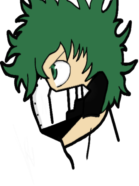 BNHA - ibisPaint