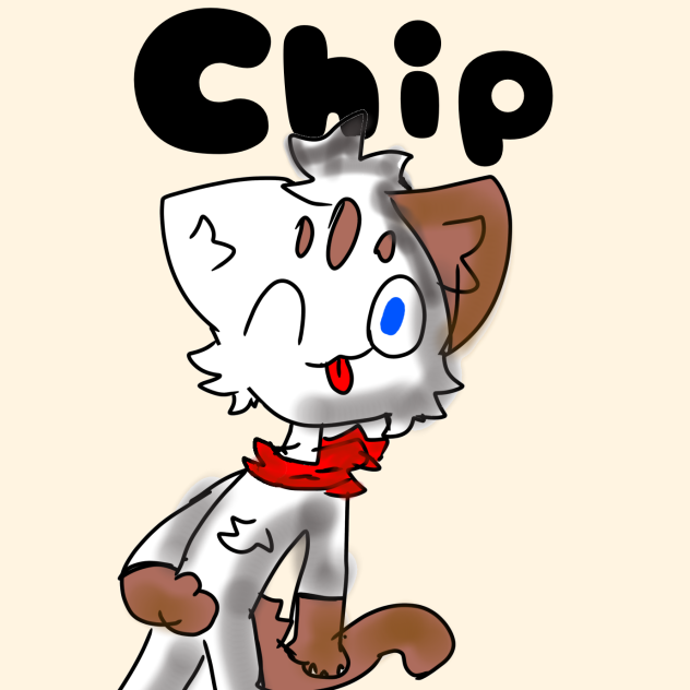 Chip