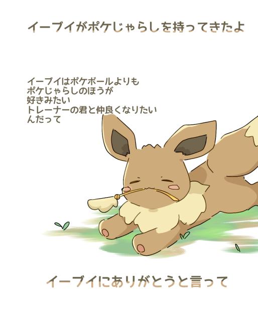 イーブイがポケじゃらしを持ってきたよ