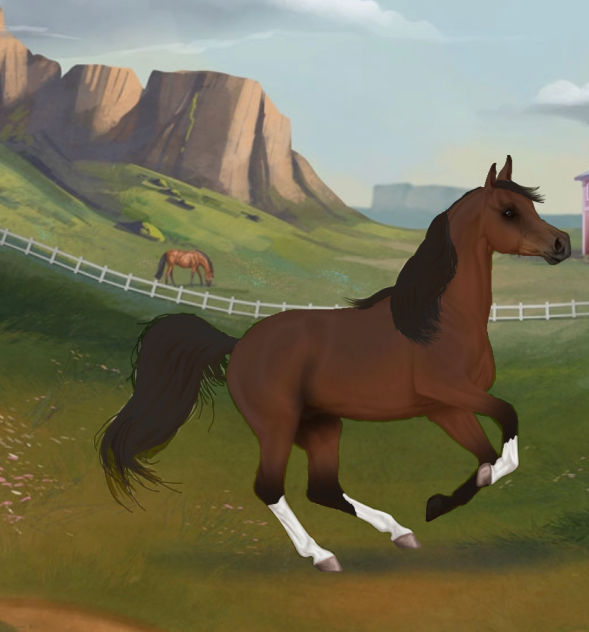 horse edit - ibisPaint