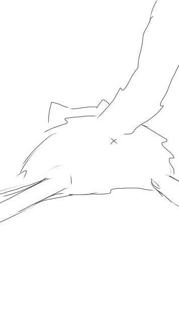 猫の尻