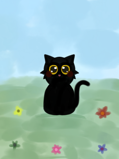 cat