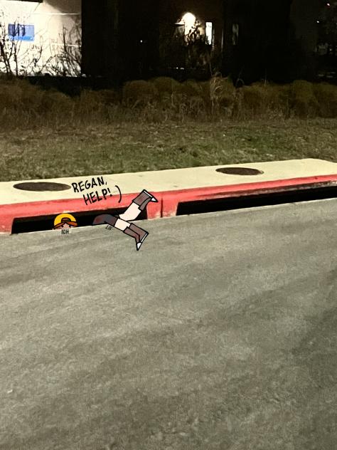 Collab with my sister