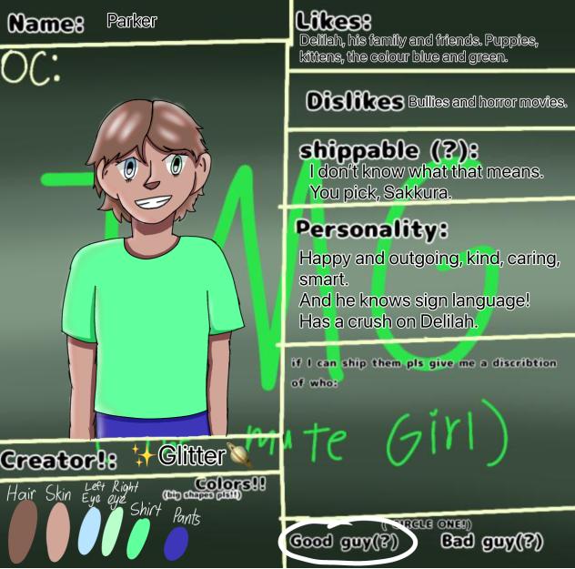 Character sheet for SakkuraX