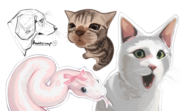 Doodles