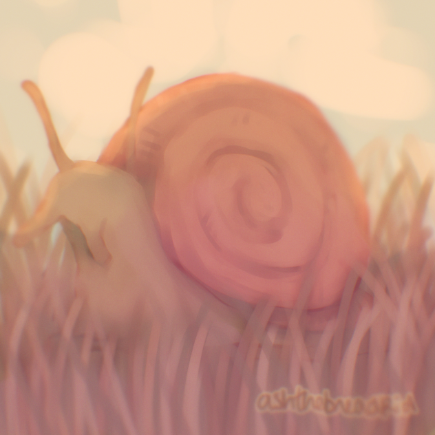 snail hehe ☆°•☆°•
