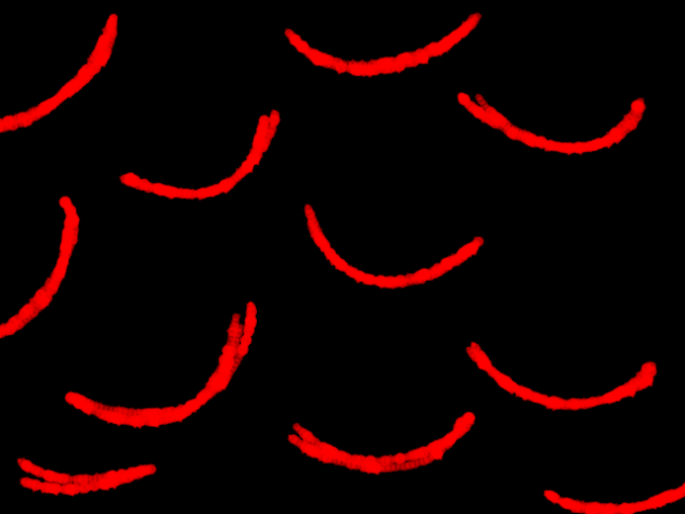 animation character lore