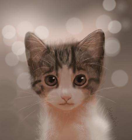 Cat😹 - ibisPaint