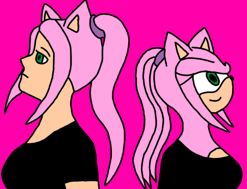 Amy's Human And HedgeHog Sides