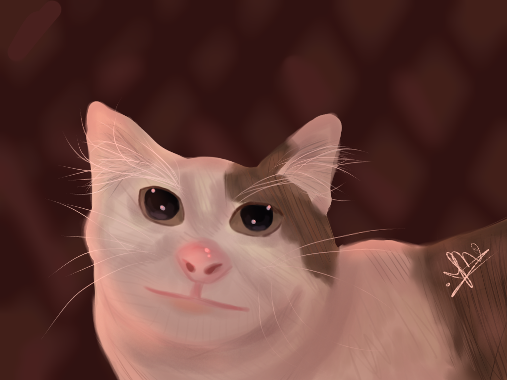 Kitty cat - ibisPaint