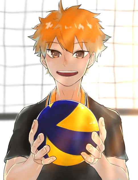 日向翔陽 Ibispaint