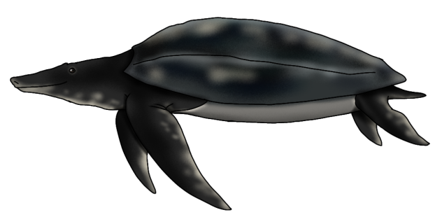 Ocepechelon bouyai render