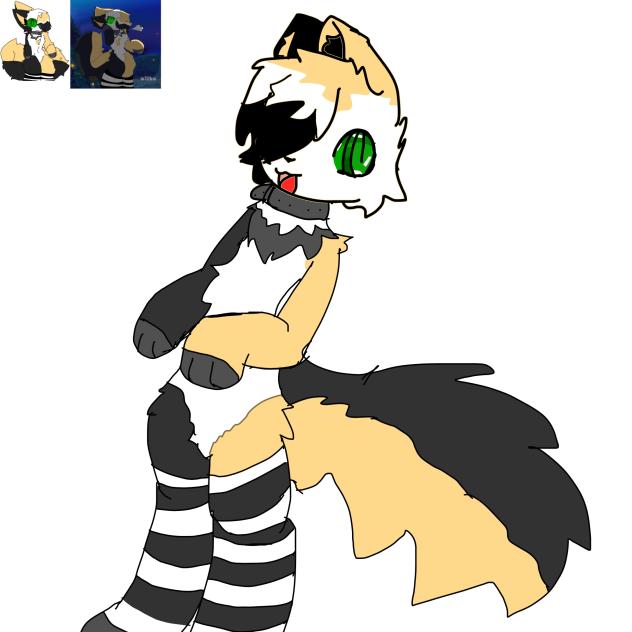 FA for cocokit Milko