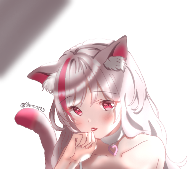 ニャー🐱
