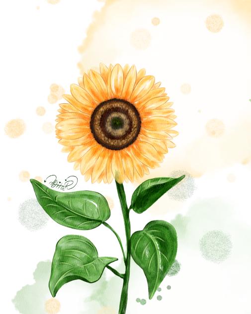 A Sunflower 🌻 - ibisPaint