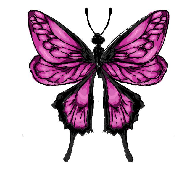 The butterfly effect