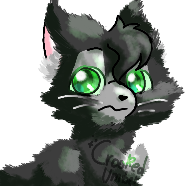 Ravenpaw Animation Test