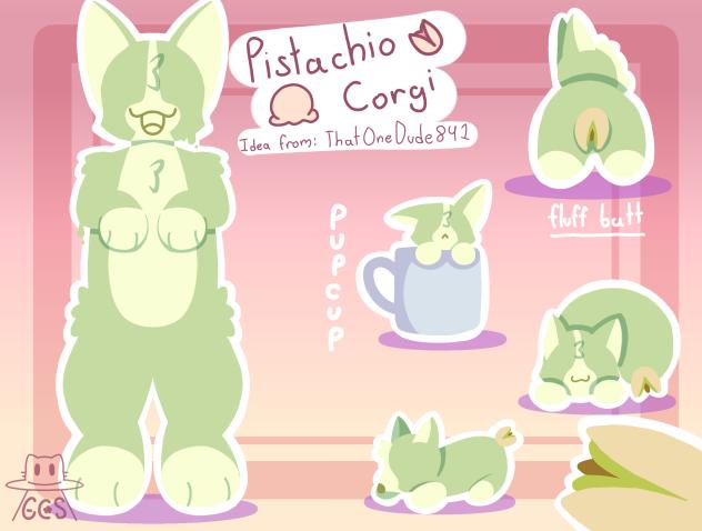 Pistacia Pup
