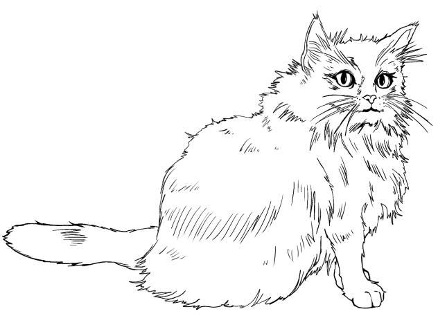 ぬこ