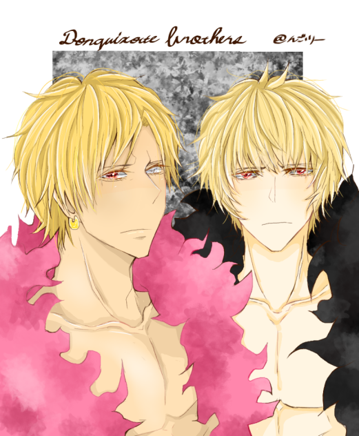 ドンキホーテ兄弟