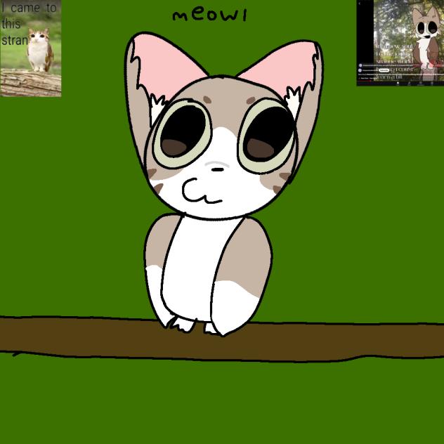 meowl😎